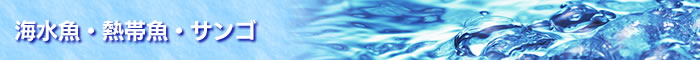 海水魚・熱帯魚・サンゴ